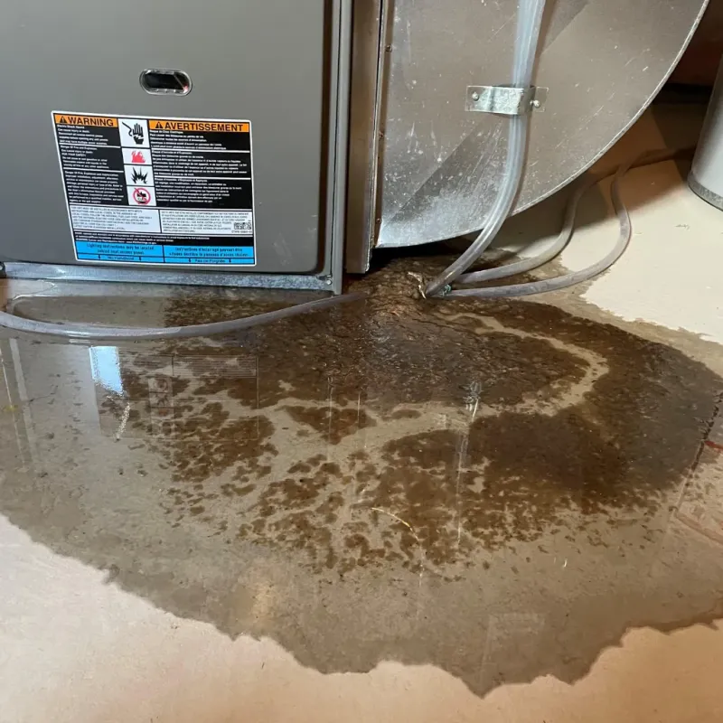 Appliance Leak Cleanup in Montgomery County, IN